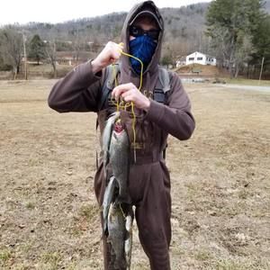 Meet your Posher, Brandon